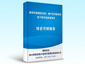 贵阳项目可行性研究代写 智服宏图