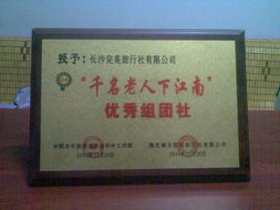 专业票务代订服务 便捷出行，无忧体验